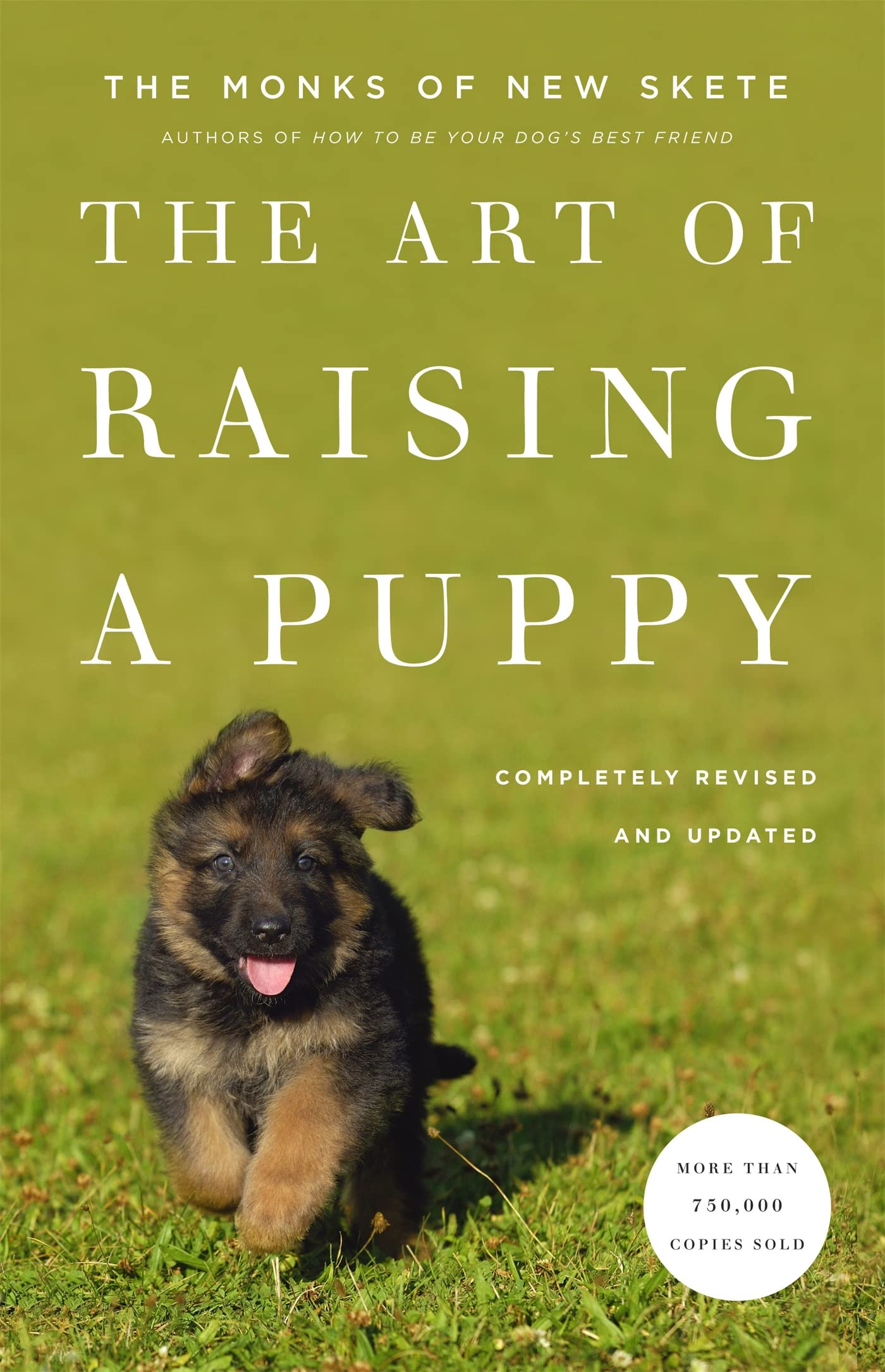 THE ART OF RAISING A PUPPY (REVI