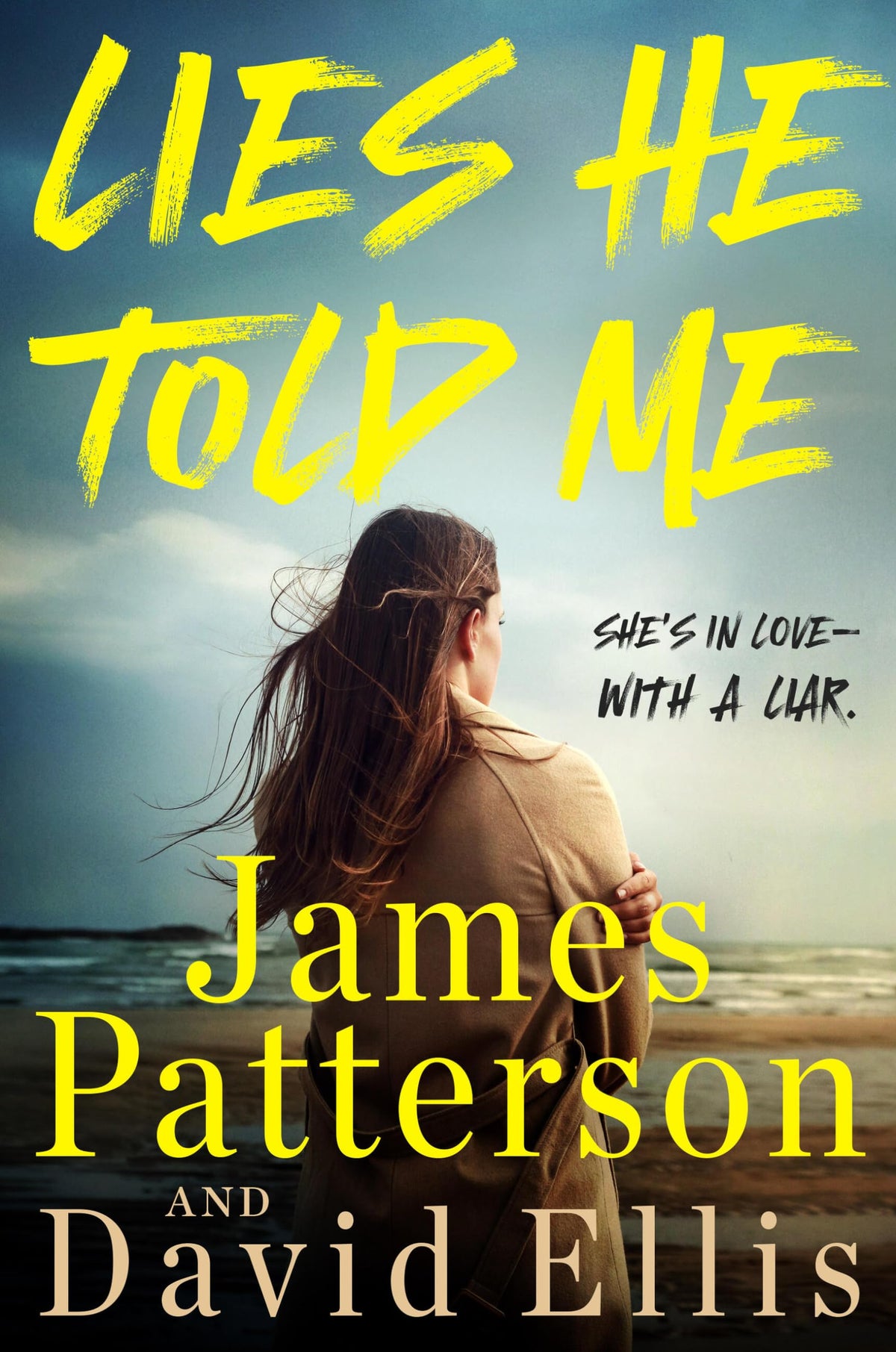 Lies He Told Me: A Thriller
