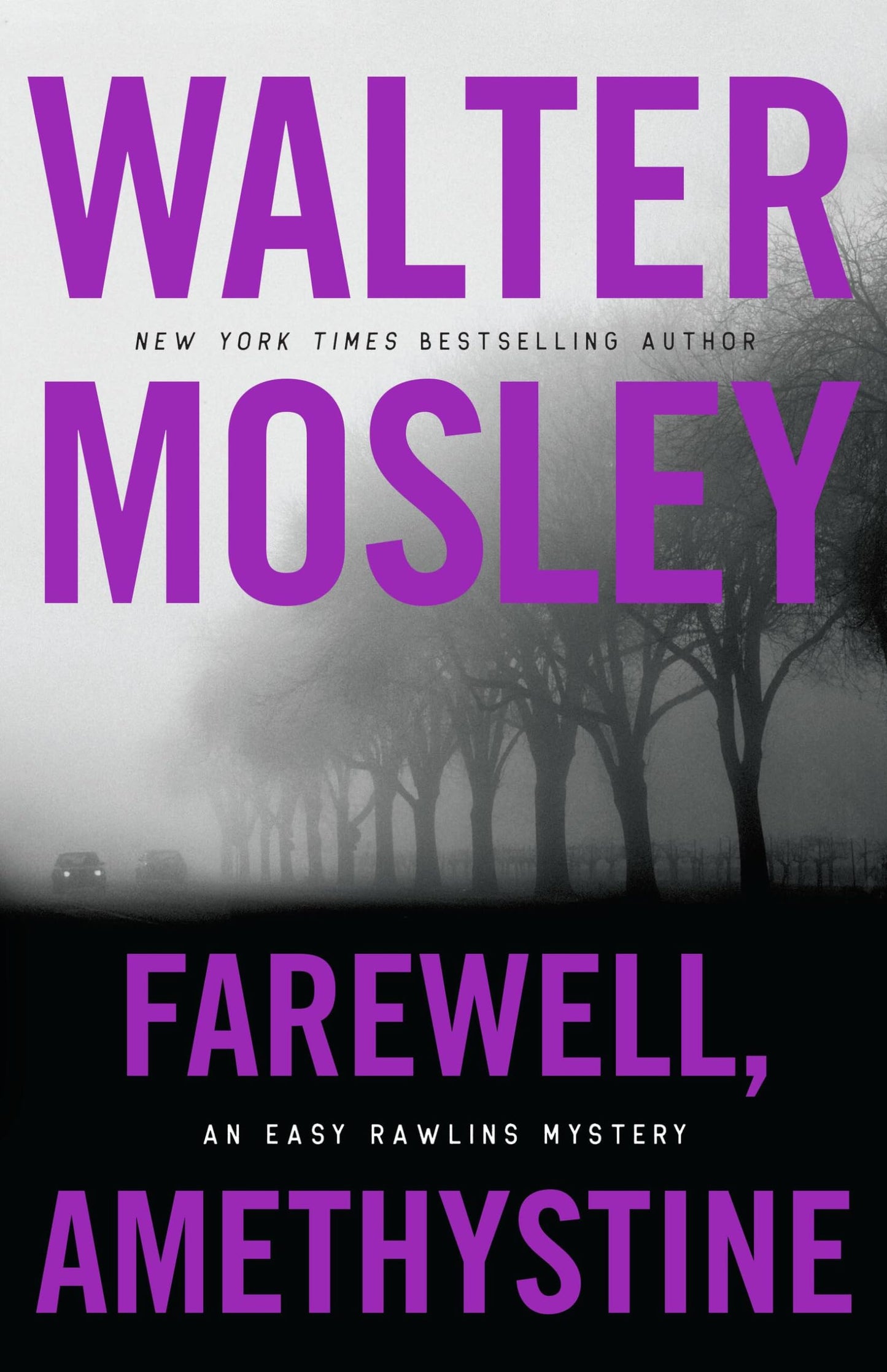 Farewell, Amethystine (Easy Rawlins, 16)