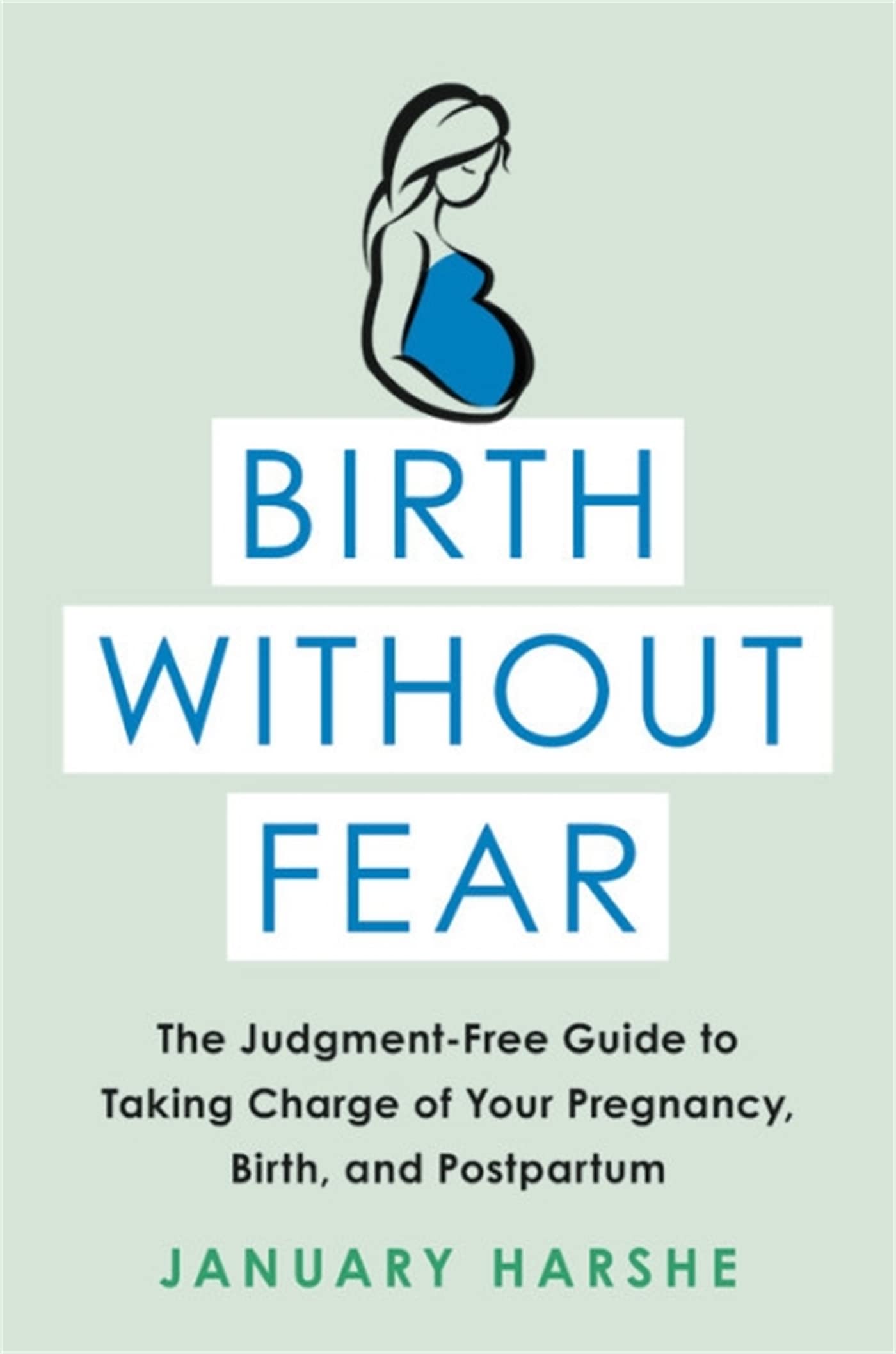 Birth Without Fear: The Judgment-Free Guide to Taking Charge of Your Pregnancy, Birth, and Postpartum - 3758