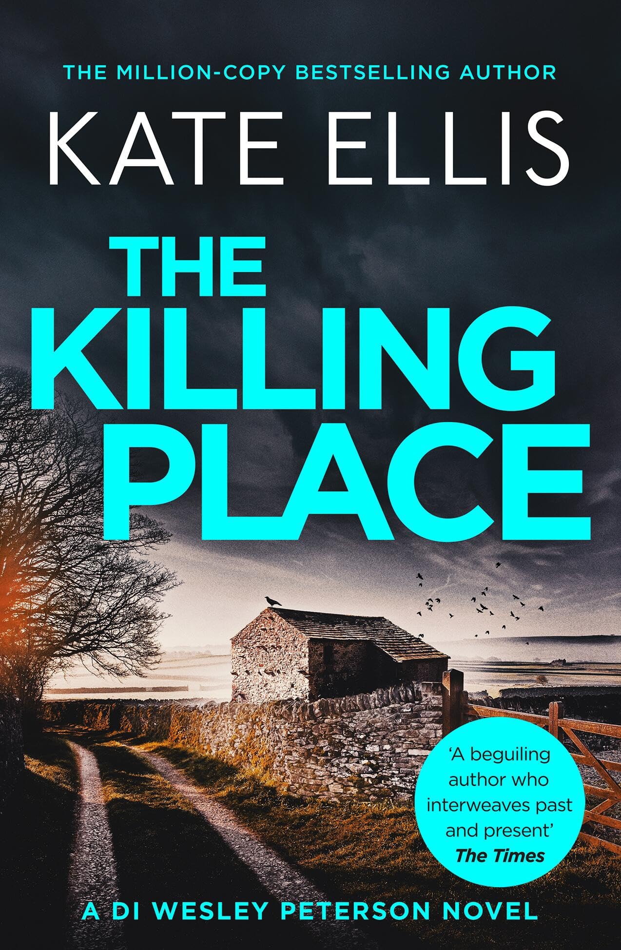 The Killing Place (DI Wesley Peterson)
