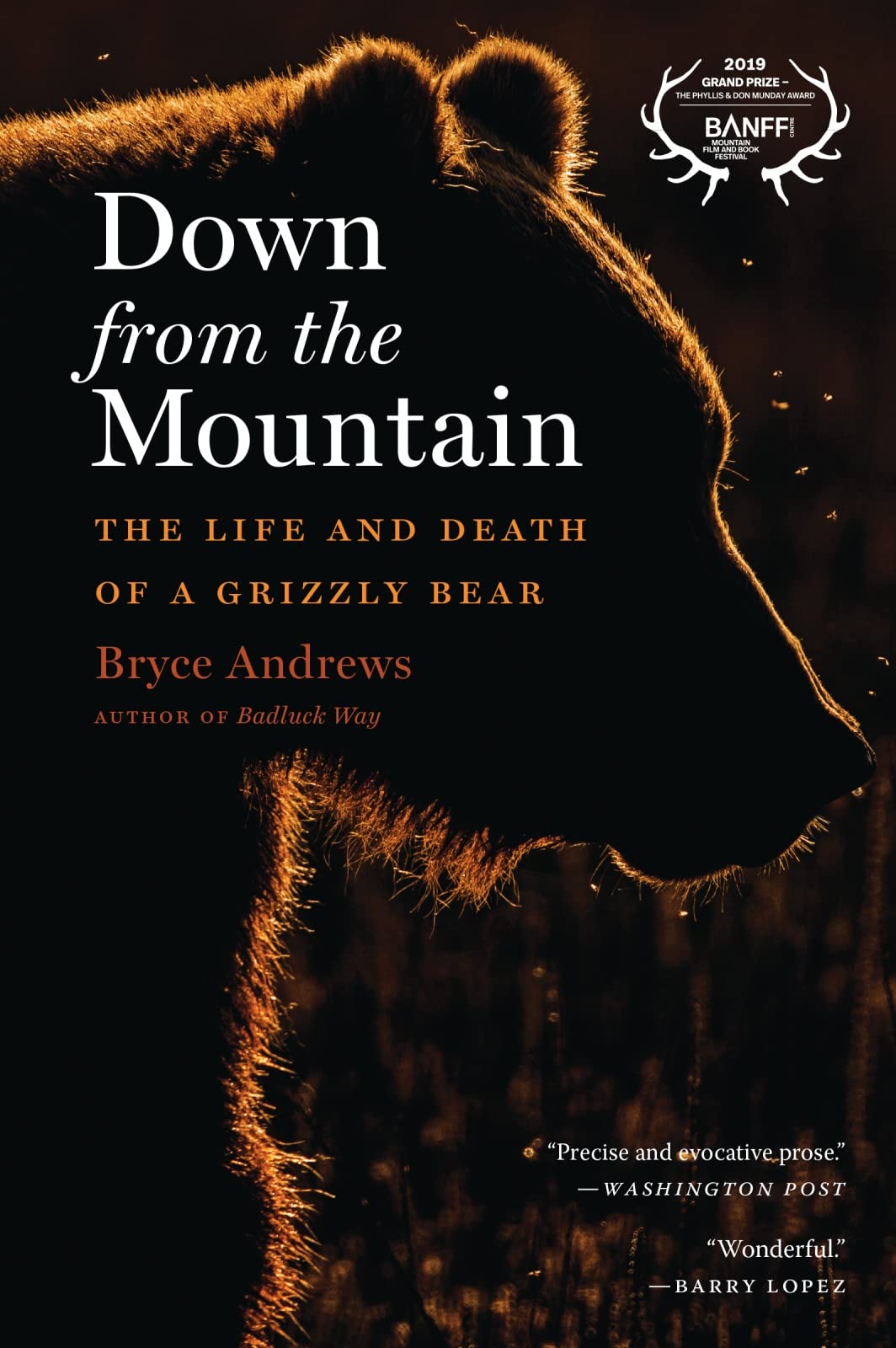 Down From The Mountain: The Life and Death of a Grizzly Bear – Evocative Nature Writing on Wildlife Survival in Montana's Changing Landscape