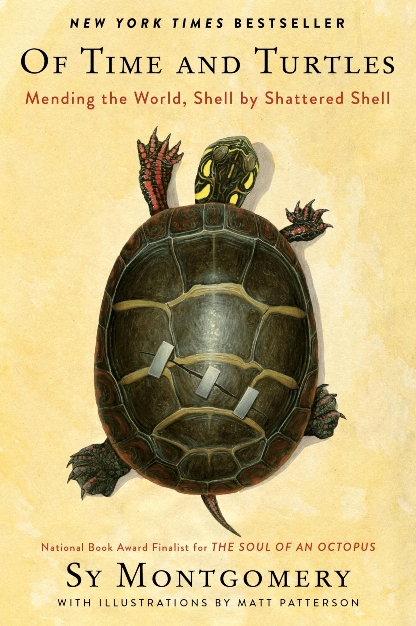 Of Time and Turtles: Mending the World, Shell by Shattered Shell: A heartwarming compassionate portrait of injured turtles, perfect for nature lovers.