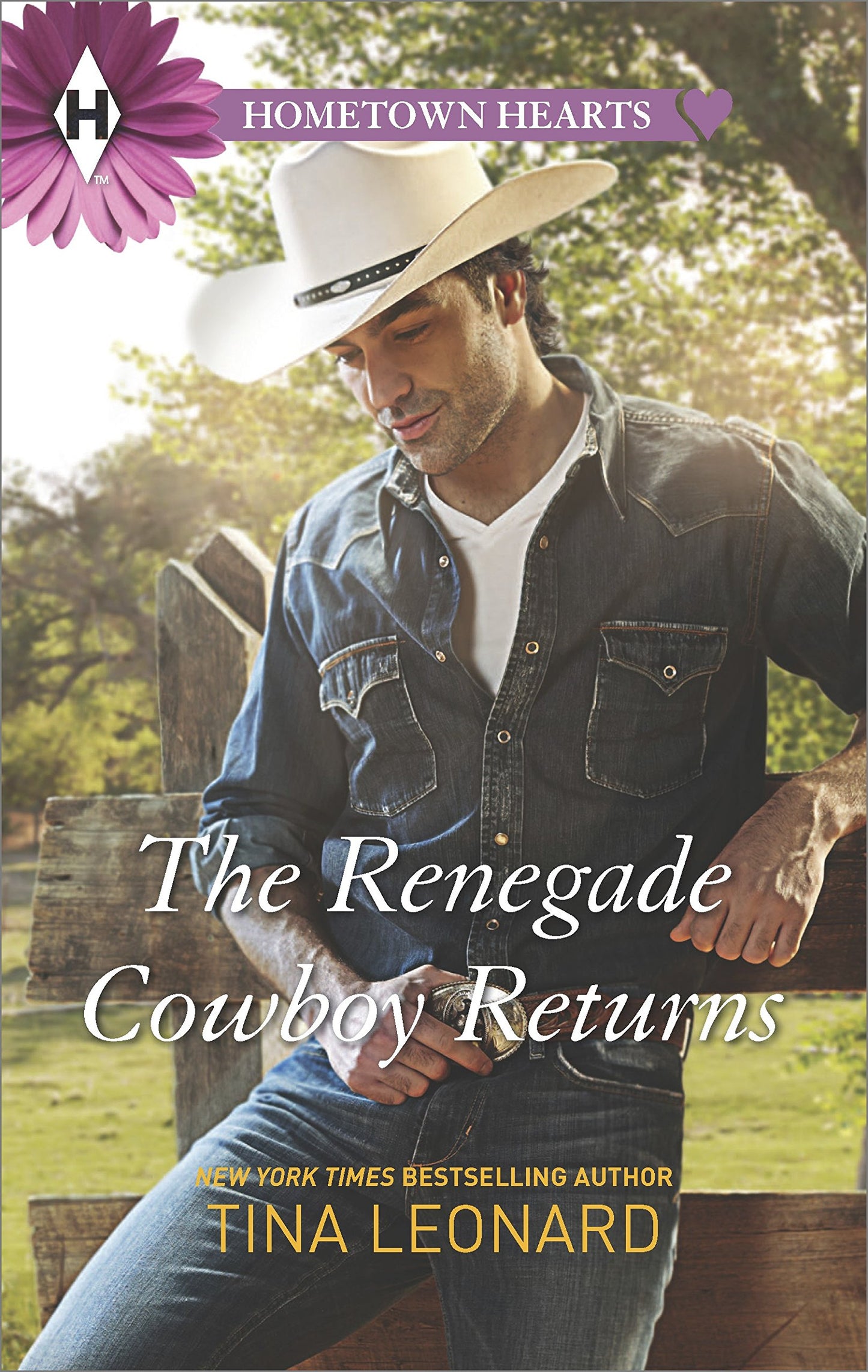 The Renegade Cowboy Returns