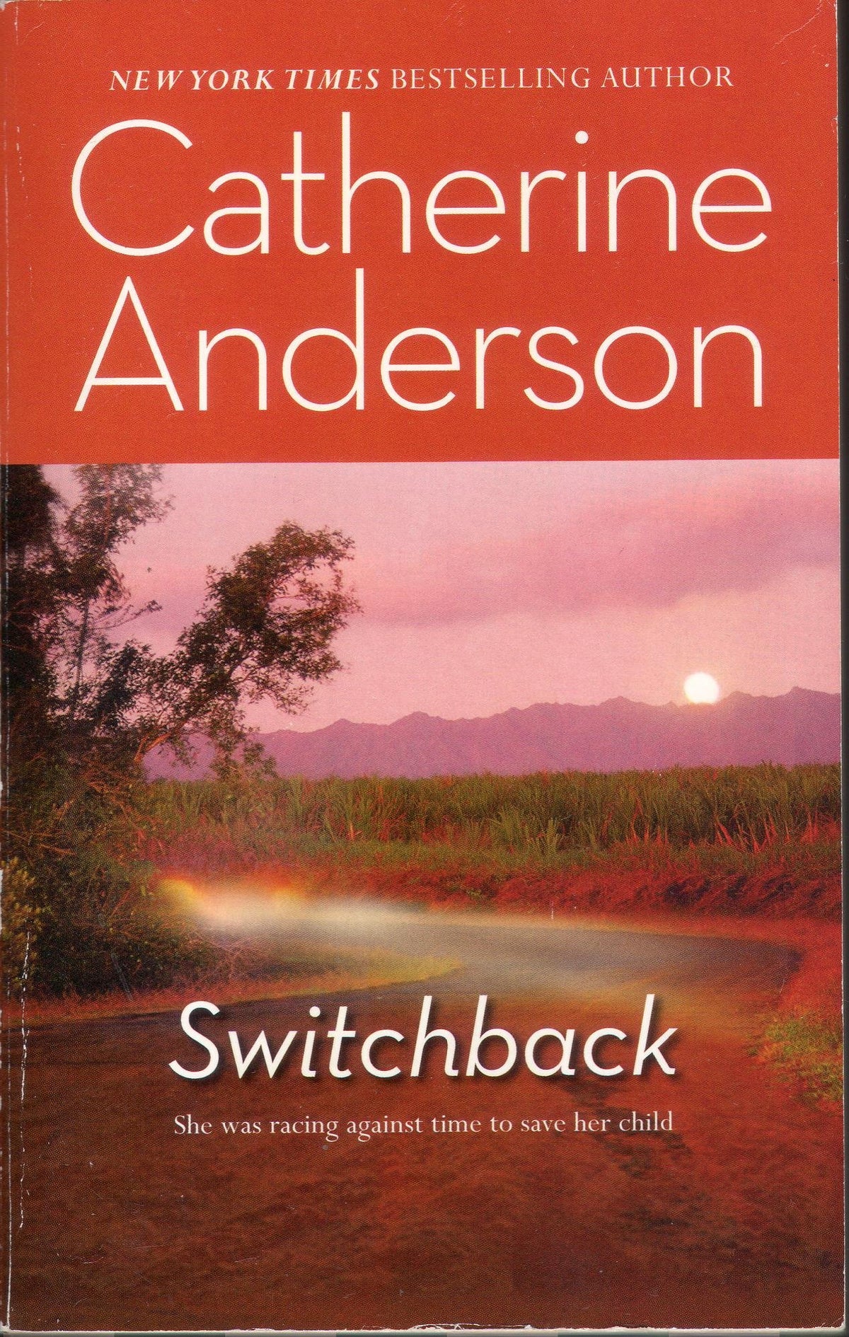 Switchback (Intrigue)