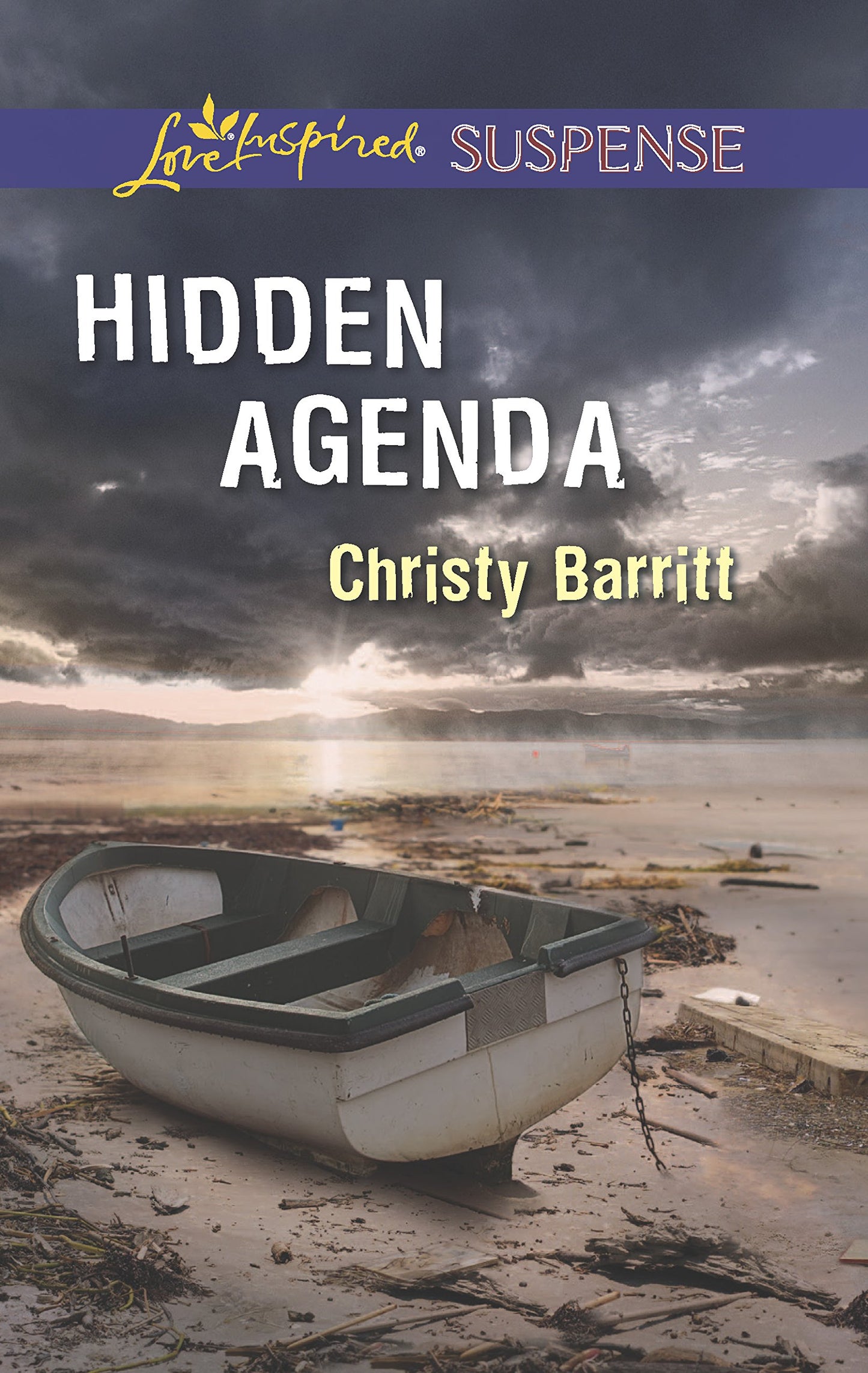 Hidden Agenda (Love Inspired Suspense)