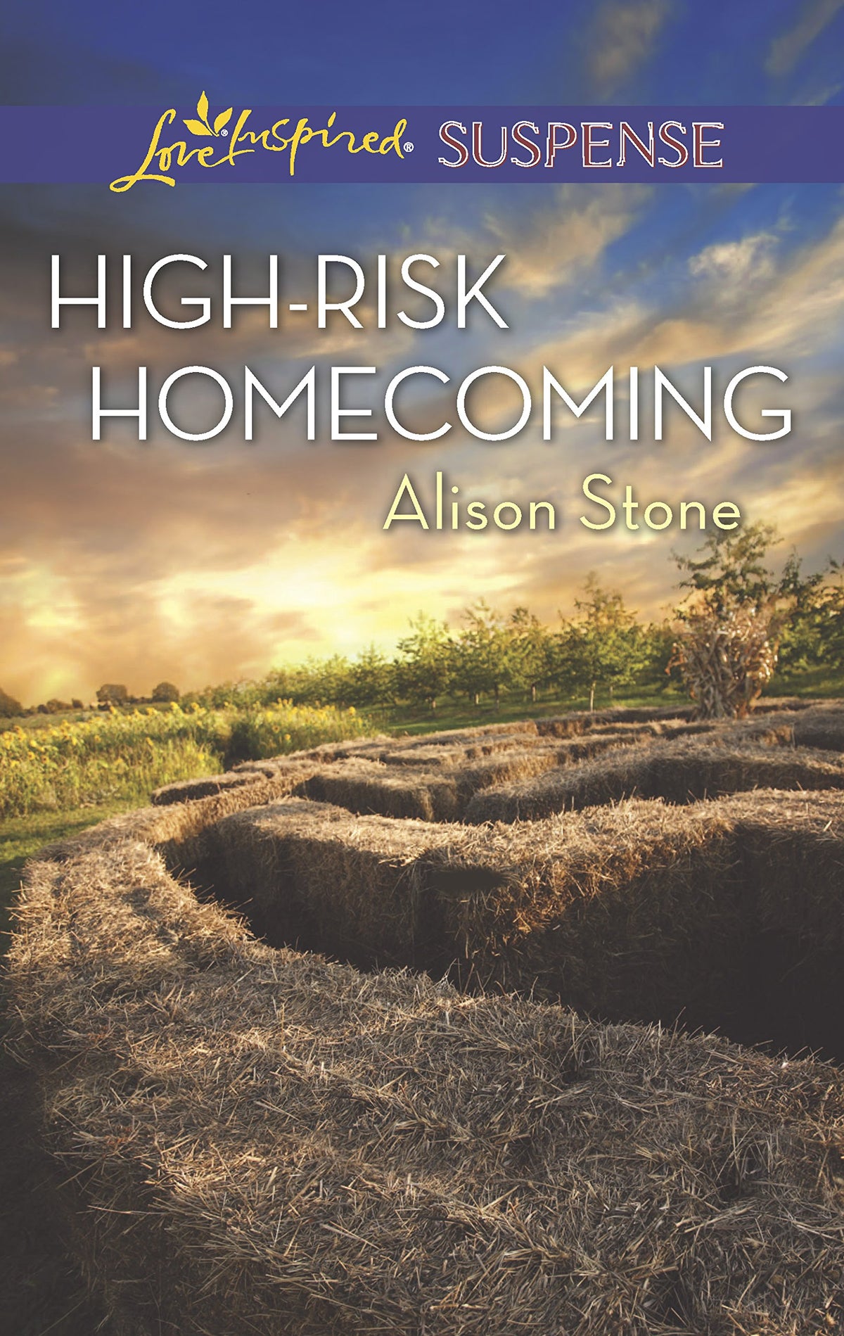 High-Risk Homecoming (Love Inspired Suspense)