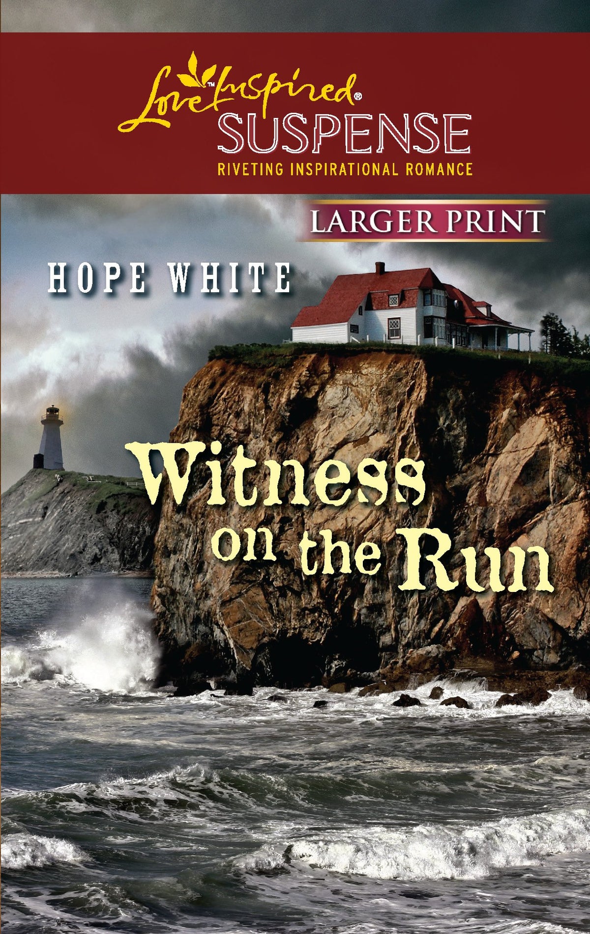 Witness on the Run (Larger Print Love Inspired Suspense)