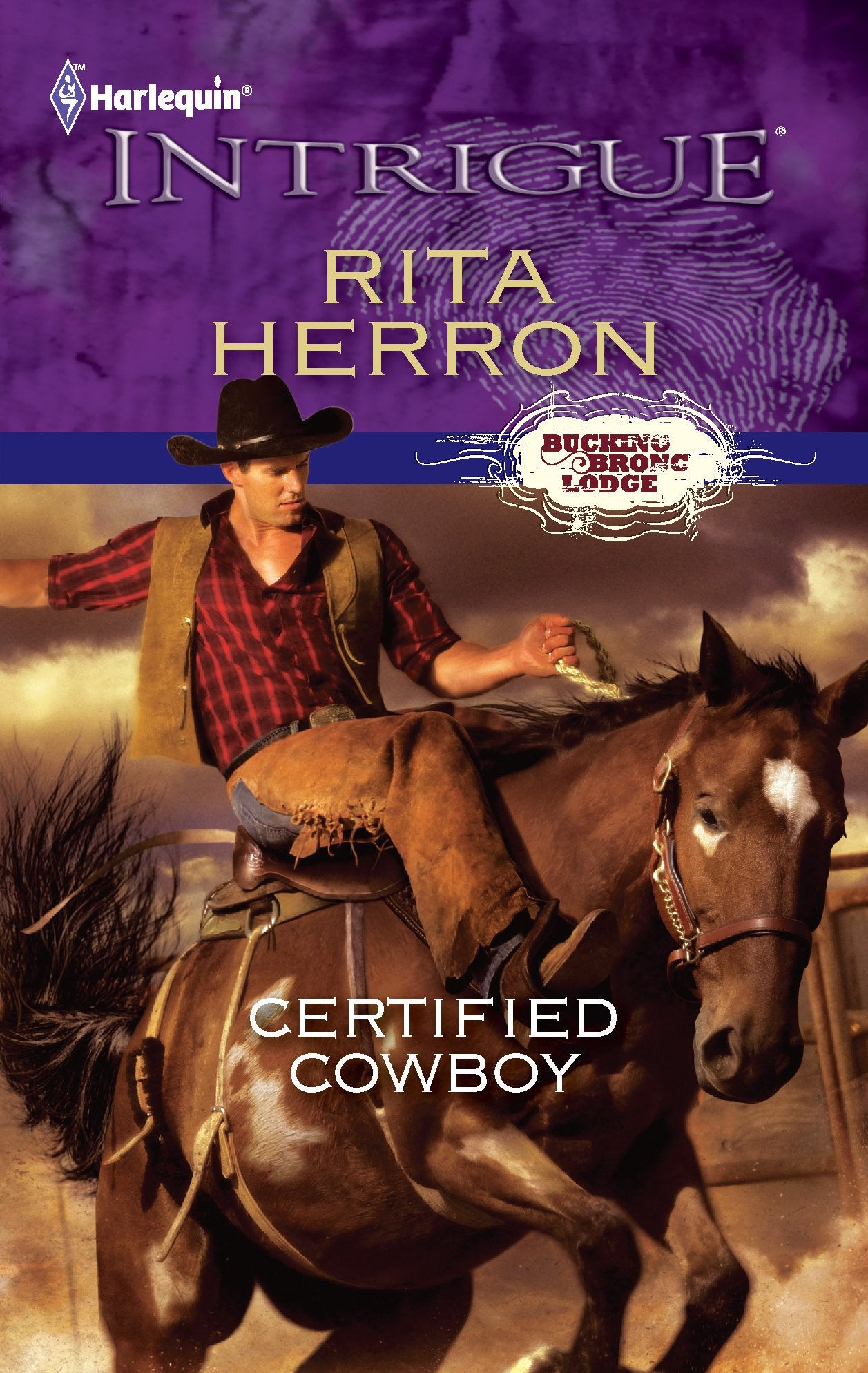 Certified Cowboy (Bucking Bronc Lodge, 1)