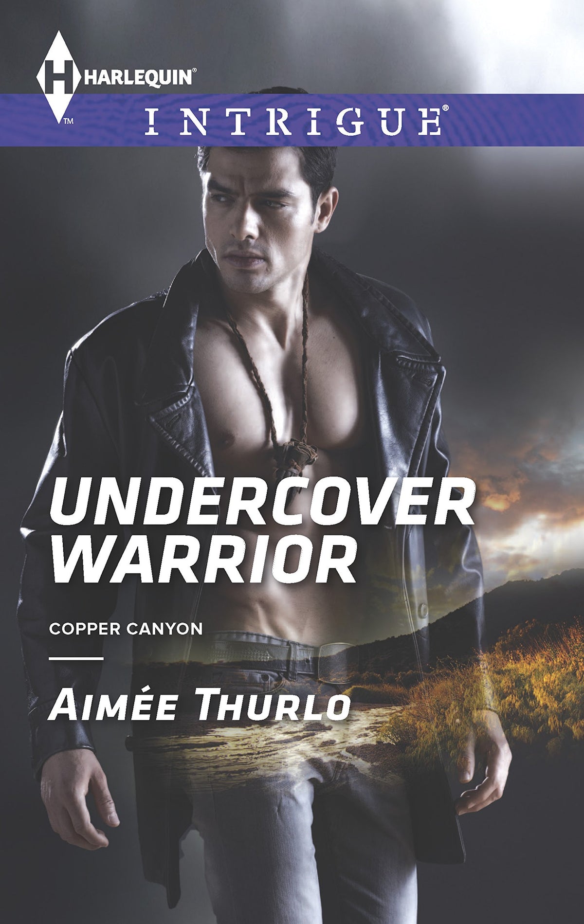 Undercover Warrior (Copper Canyon, 5)