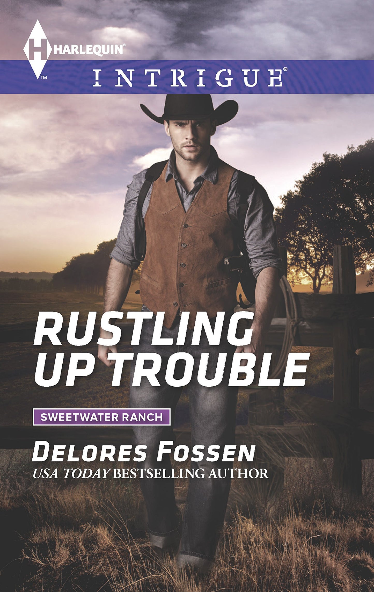Rustling Up Trouble (Sweetwater Ranch, 3)