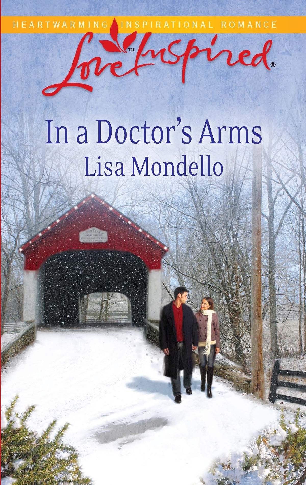 In a Doctor's Arms (Steeple Hill Love Inspired)