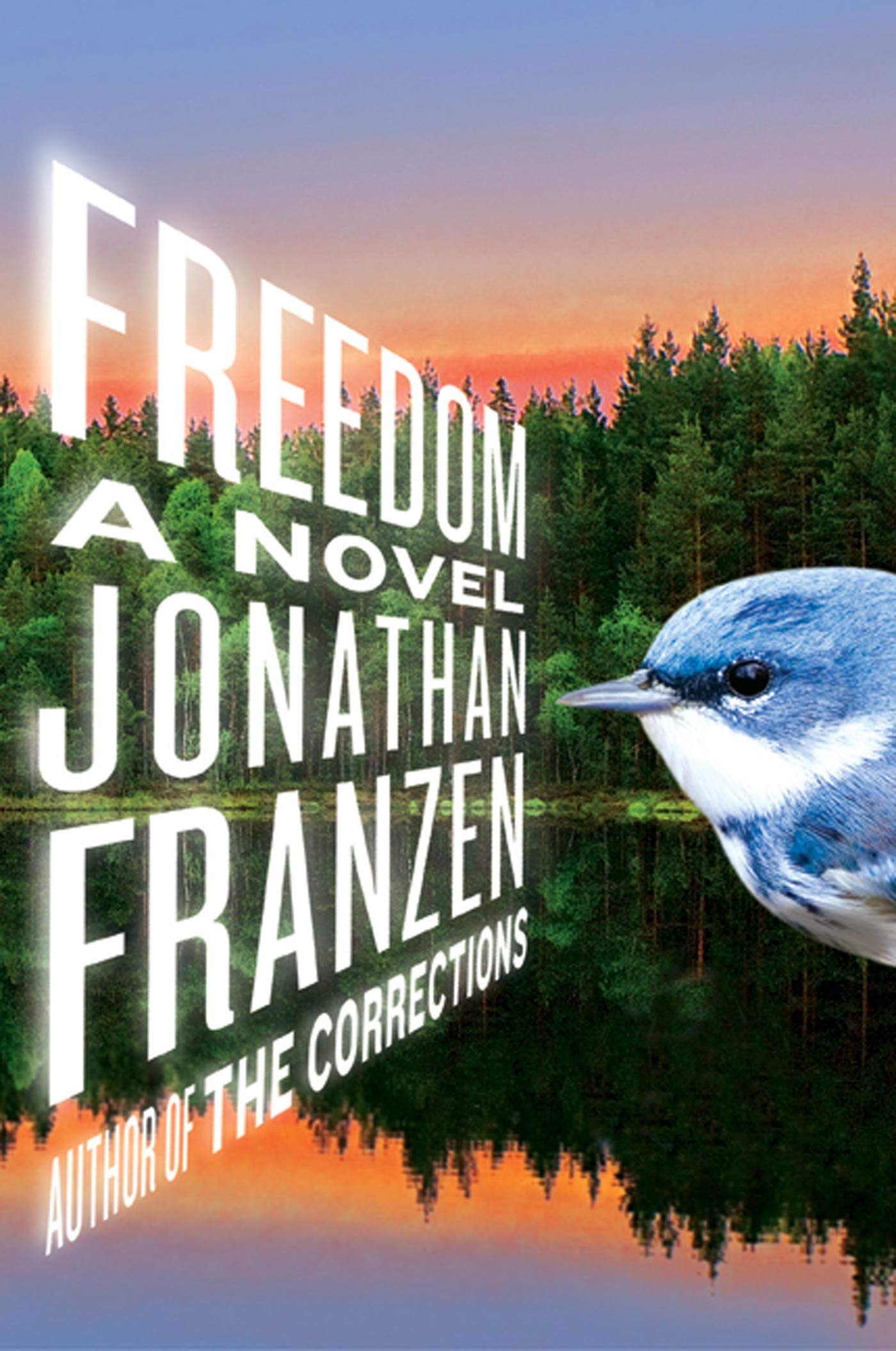 FREEDOM: A NOVEL