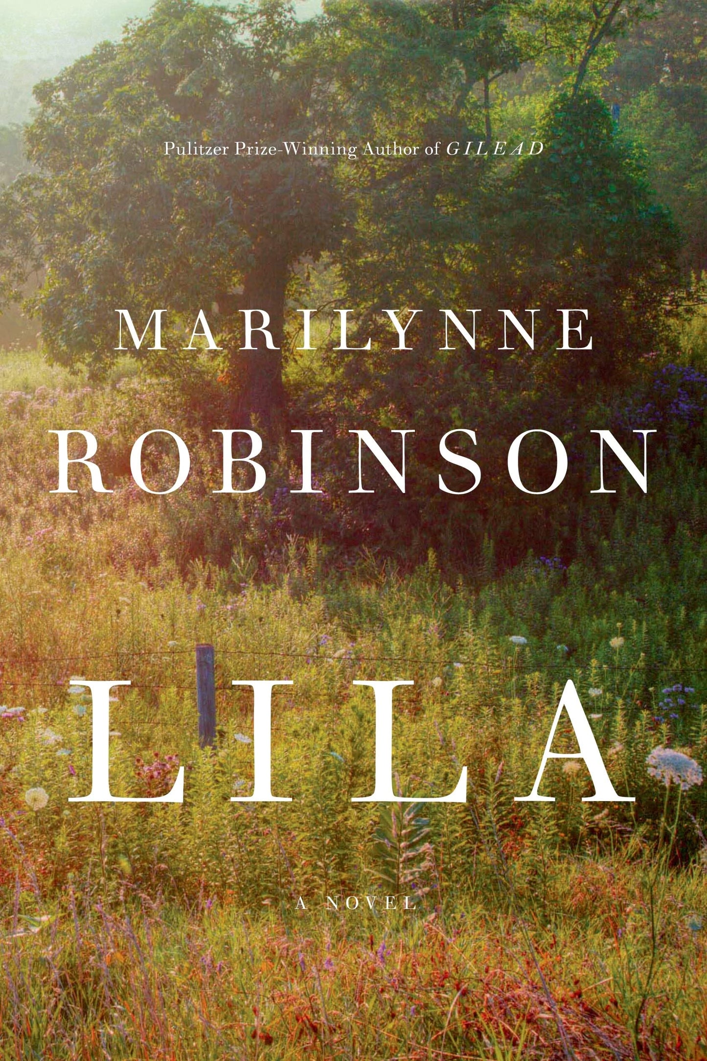 Lila (Oprah's Book Club): A Novel - 8145