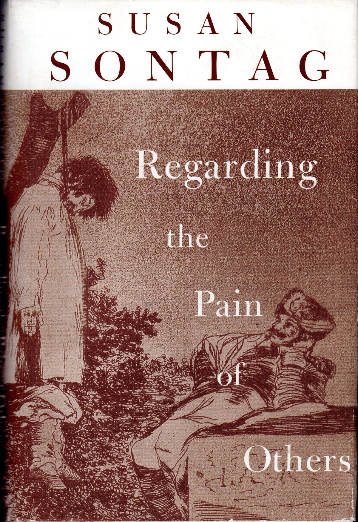 Regarding the Pain of Others