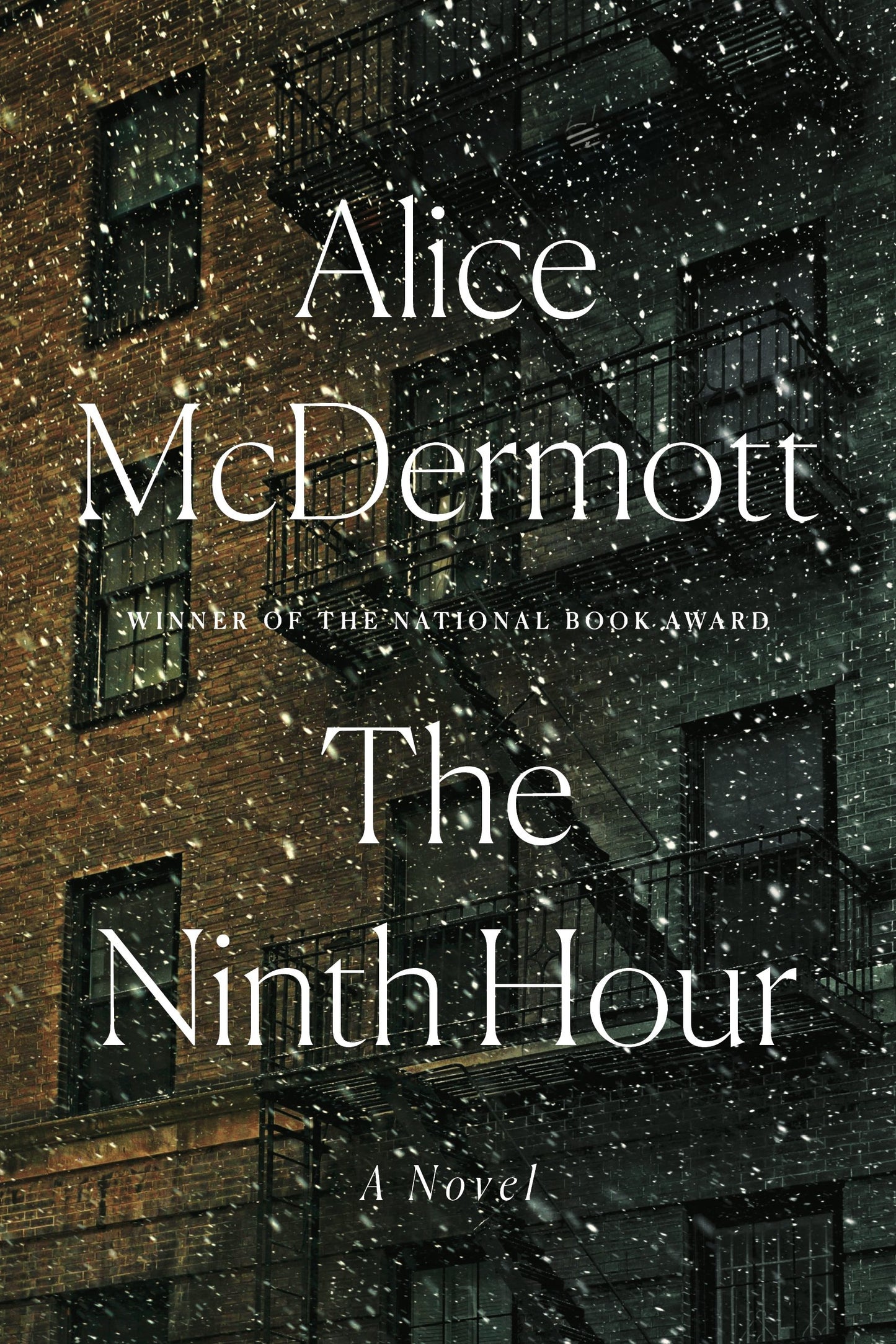 The Ninth Hour: A Novel - 6632