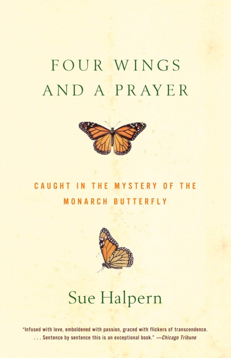 Four Wings and a Prayer: Caught in the Mystery of the Monarch Butterfly - 5121
