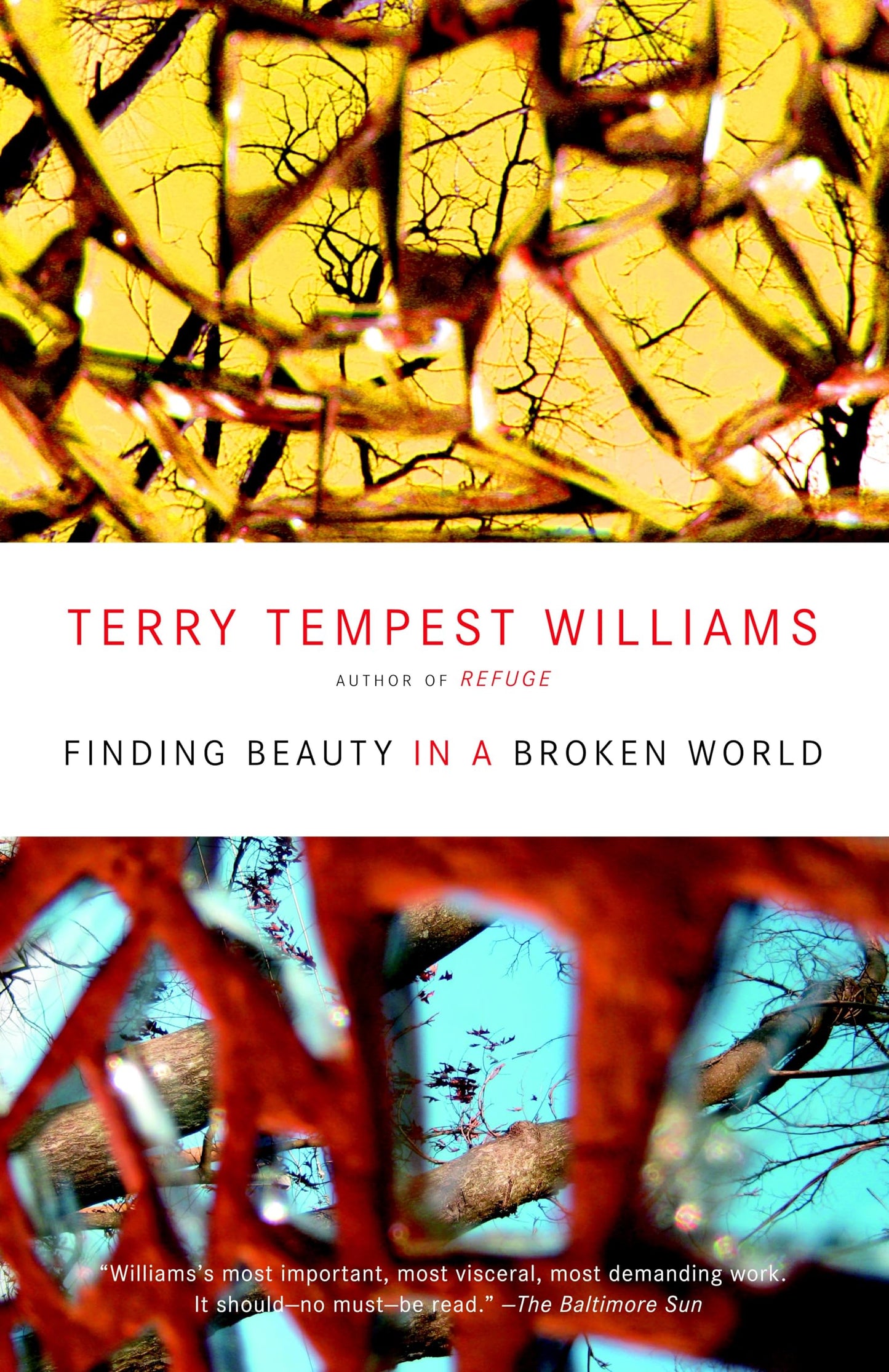 Finding Beauty in a Broken World - 9932