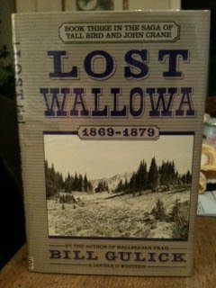 Lost Wallowa (Saga of Tall Bird and John Crane, Book 3) - 9203