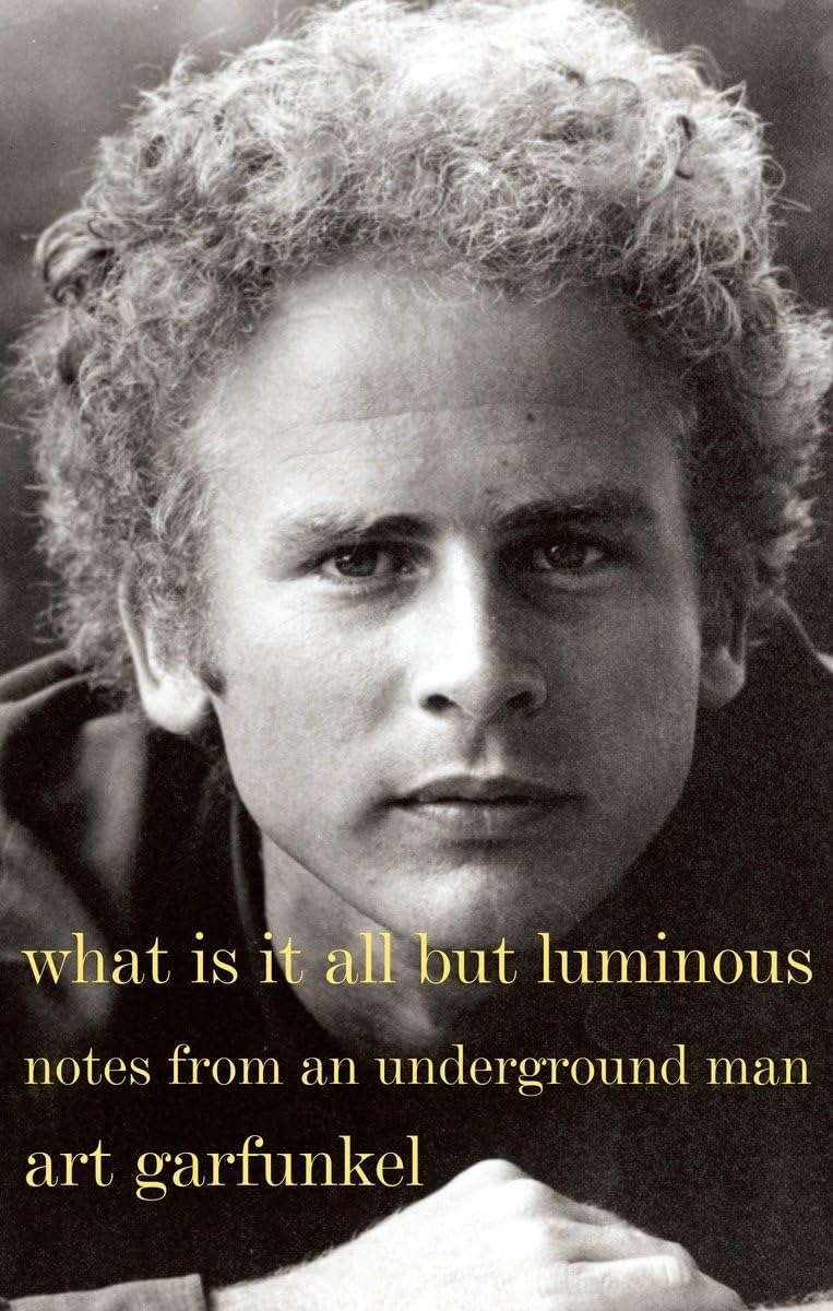 What Is It All but Luminous: Notes from an Underground Man