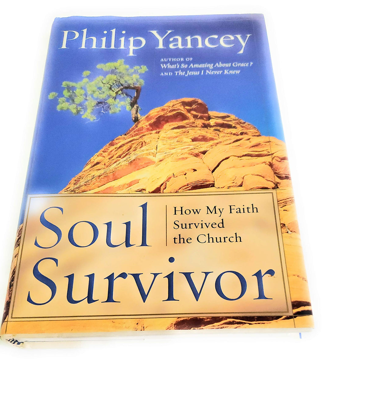 Soul Survivor: How My Faith Survived the Church