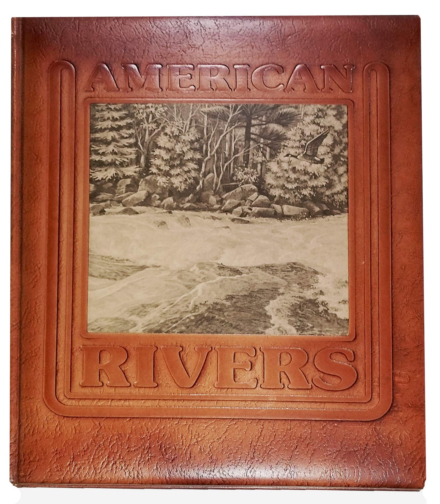 American rivers: A natural history