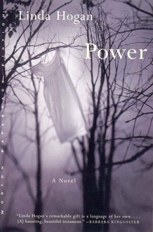 Power: A Novel (Norton Paperback Fiction) - 1082