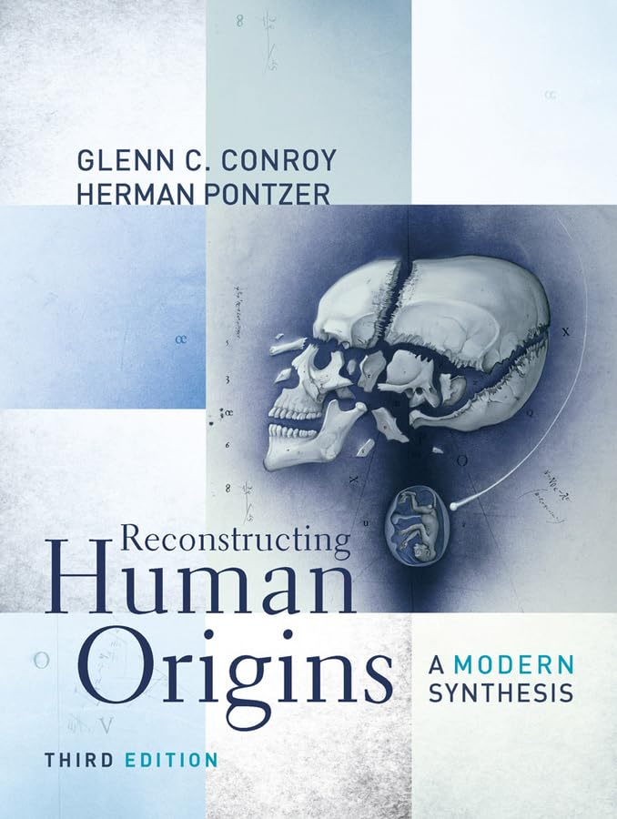 Reconstructing Human Origins: A Modern Sythesis
