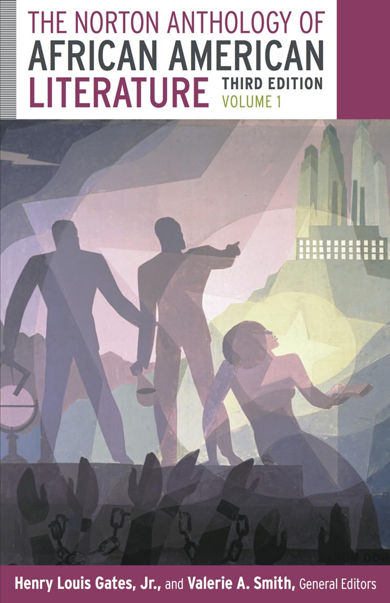 The Norton Anthology of African American Literature - 9488