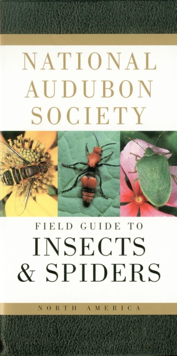 National Audubon Society Field Guide to Insects and Spiders: North America (National Audubon Society Field Guides) - 349