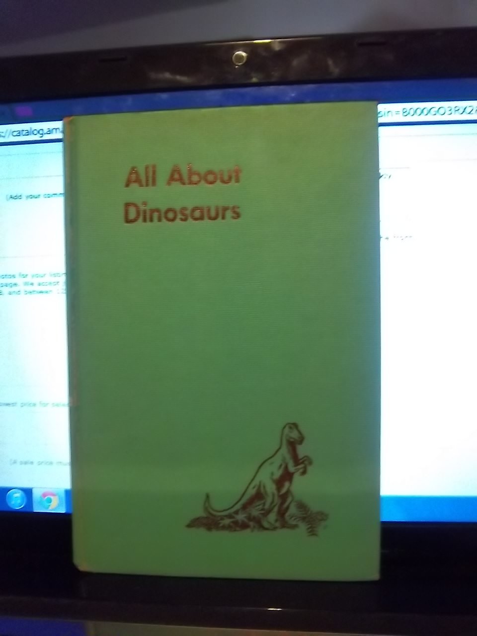 All About Dinosaurs - 6584