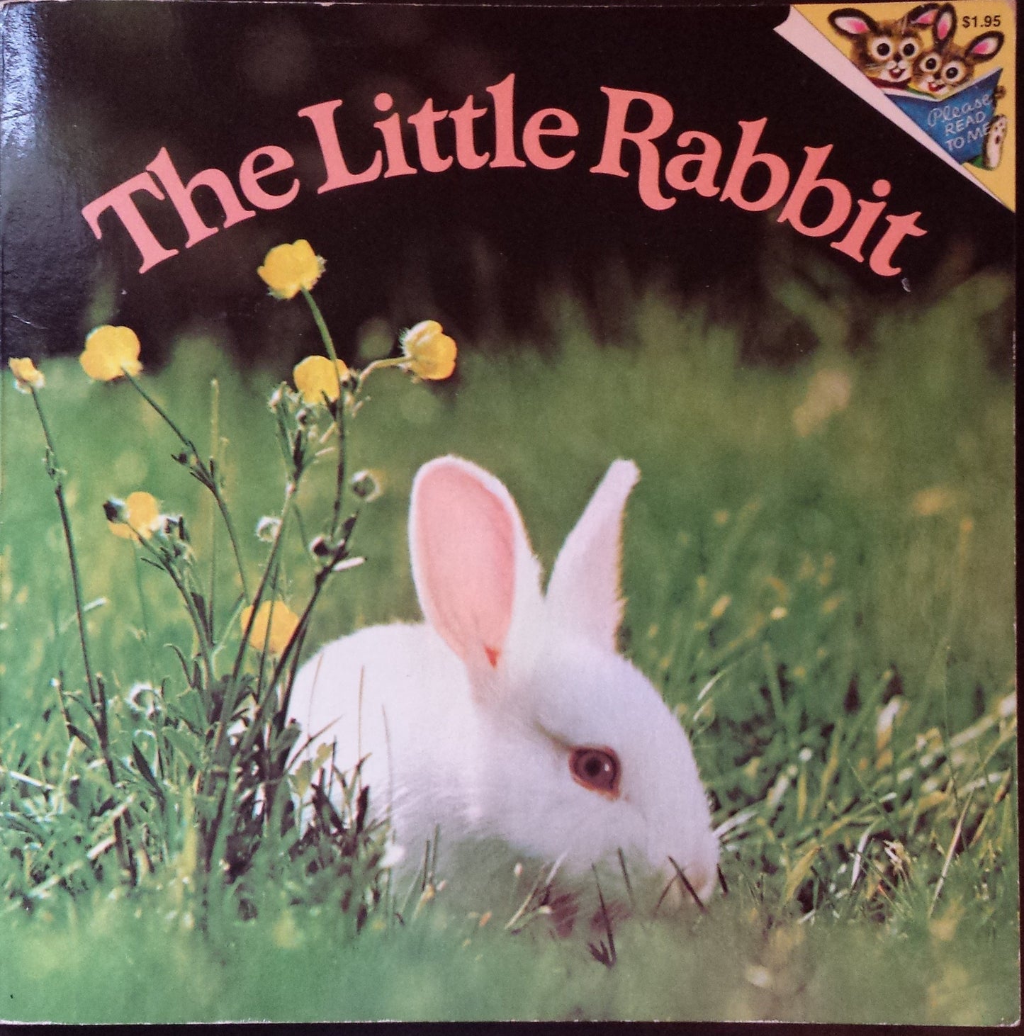The Little Rabbit