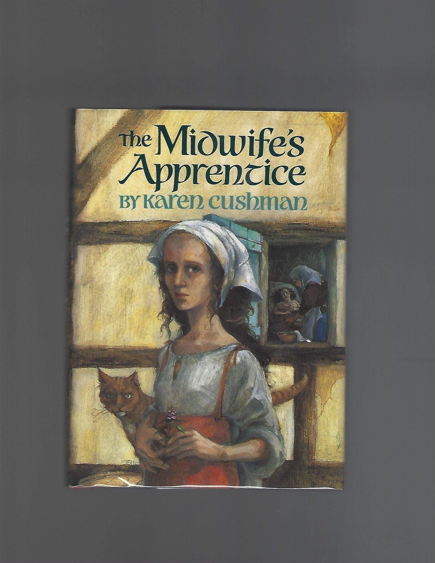 The Midwife's Apprentice (Newbery Medal Book)