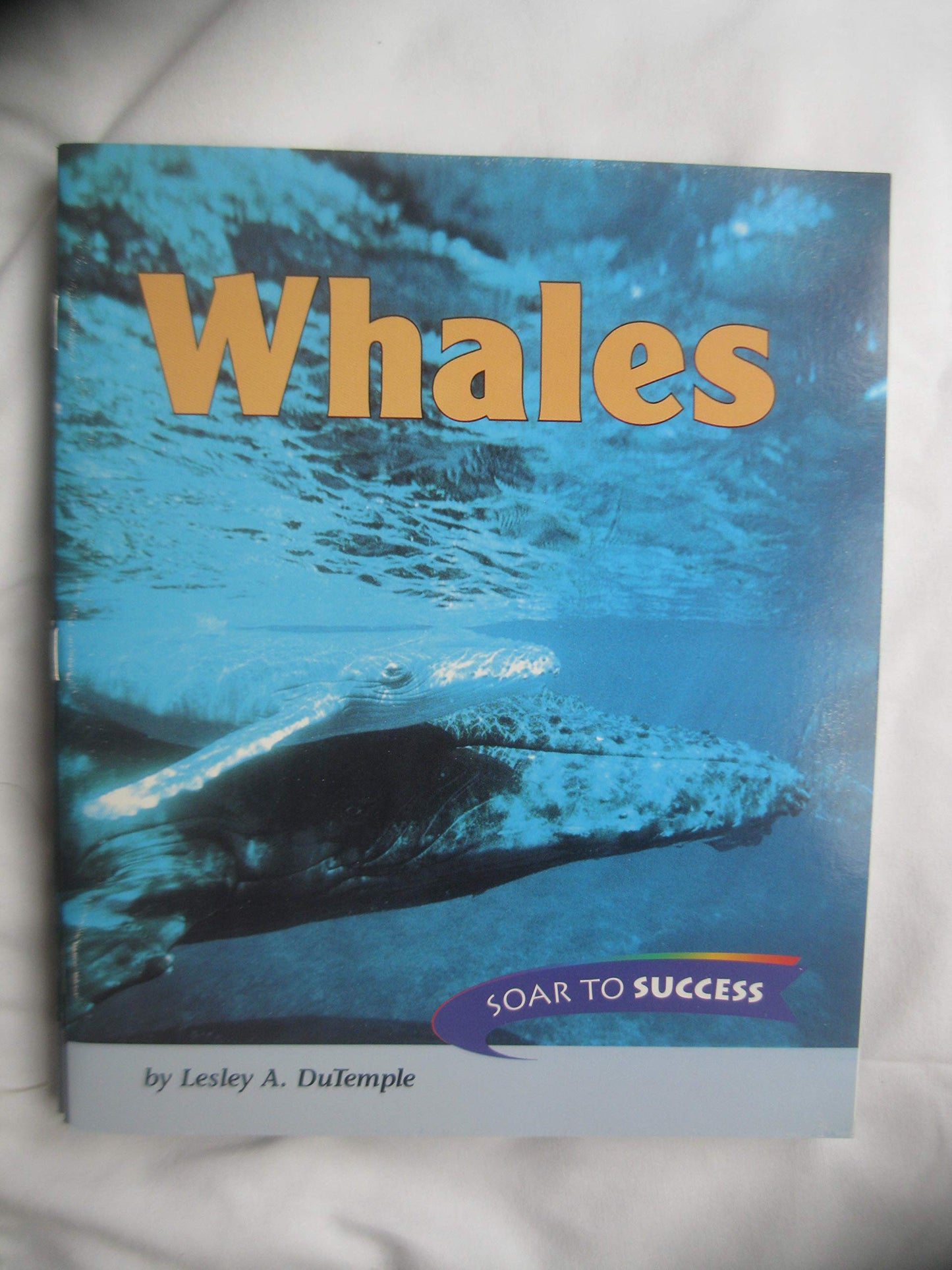 Whales, Paperback Level 4: Houghton Mifflin Soar to Success (Read Soar to Success 1999)