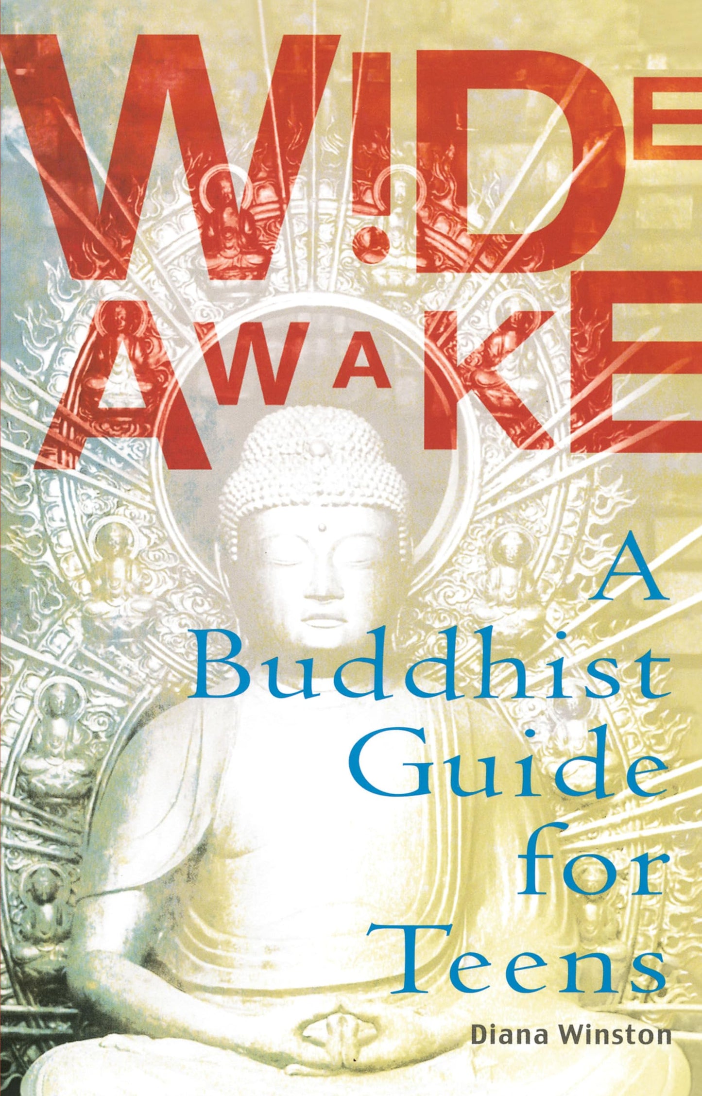 Wide Awake: A Buddhist Guide for Teens - 5843