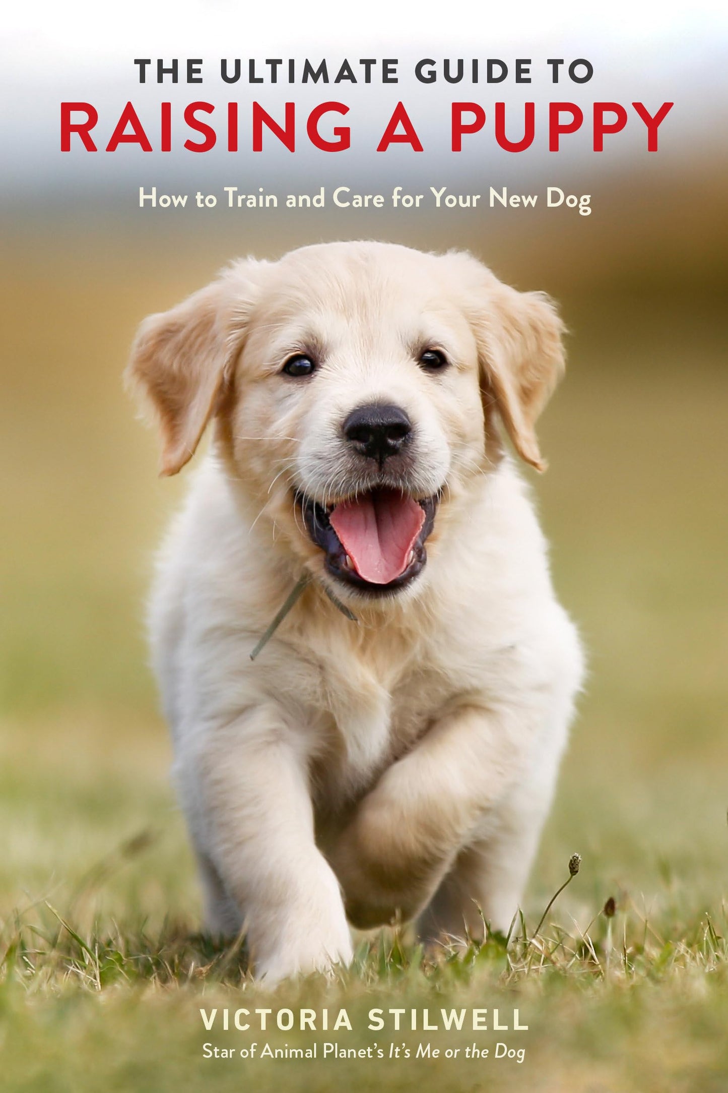 THE ULTIMATE GUIDE TO RAISING A