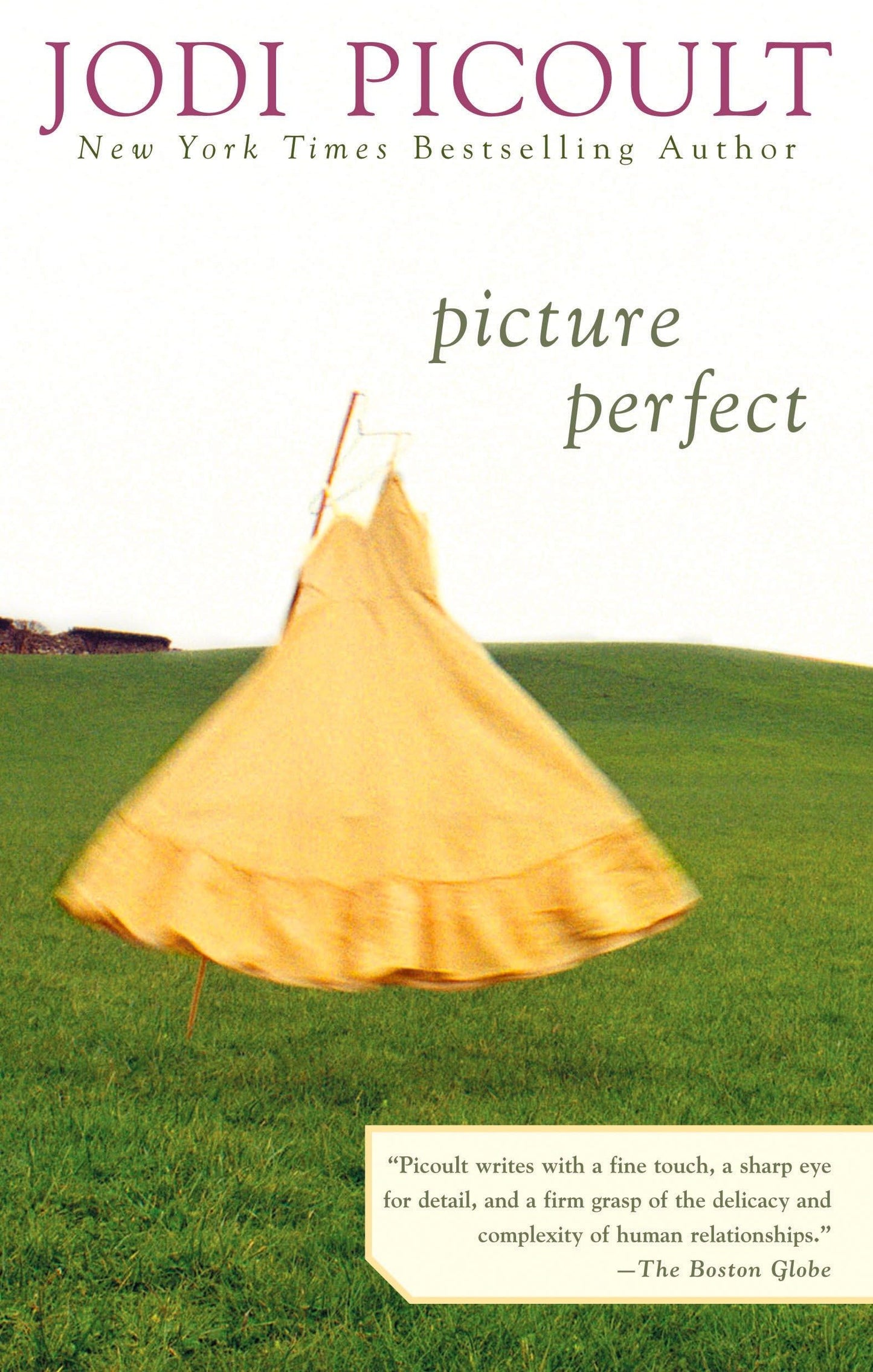 PICTURE PERFECT