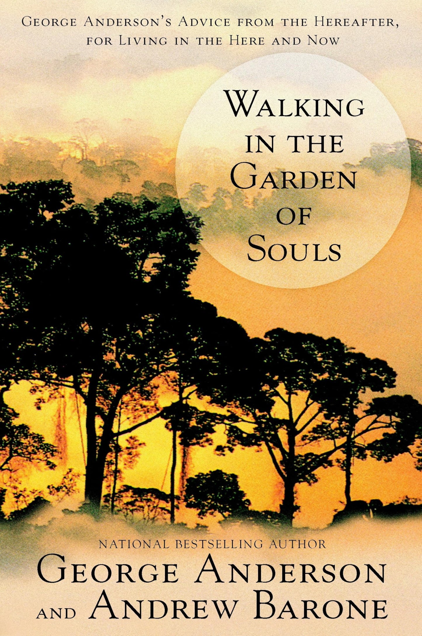 Walking in the Garden of Souls: George Anderson's Advice from the Hereafter for Living in he Here and Now - 1320
