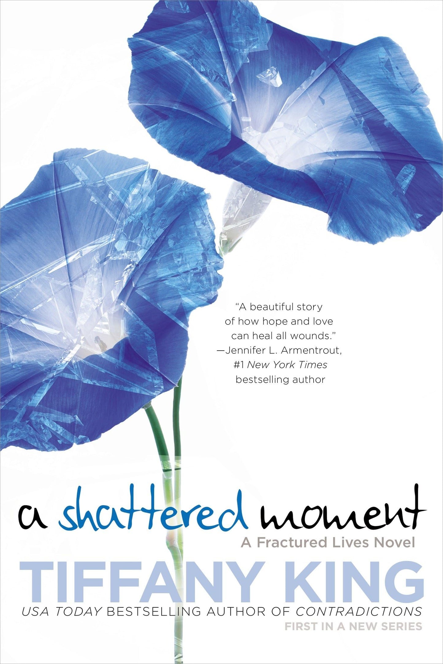 A Shattered Moment (A Fractured Lives novel)