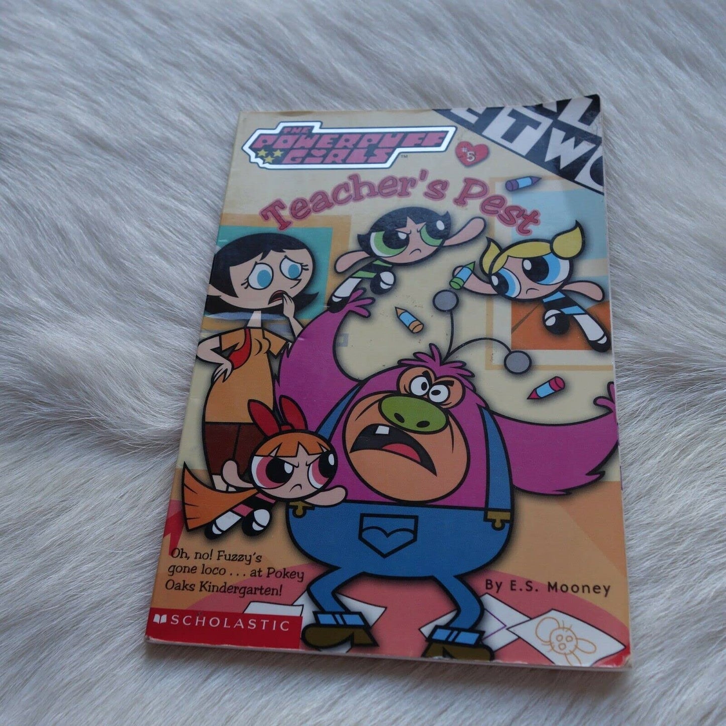 Teacher's Pest (Powerpuff Girls Chapter Book)