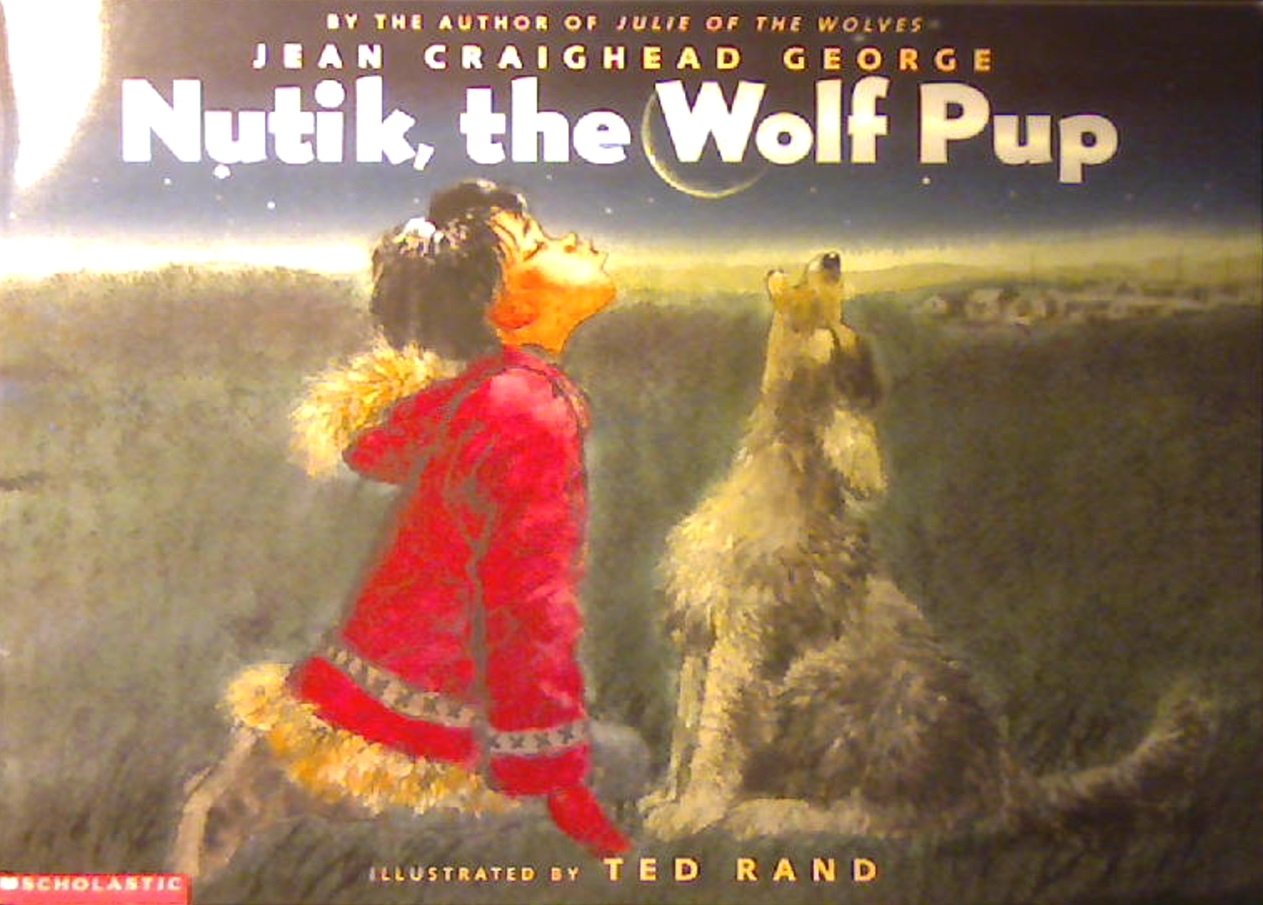Nutik, the wolf pup
