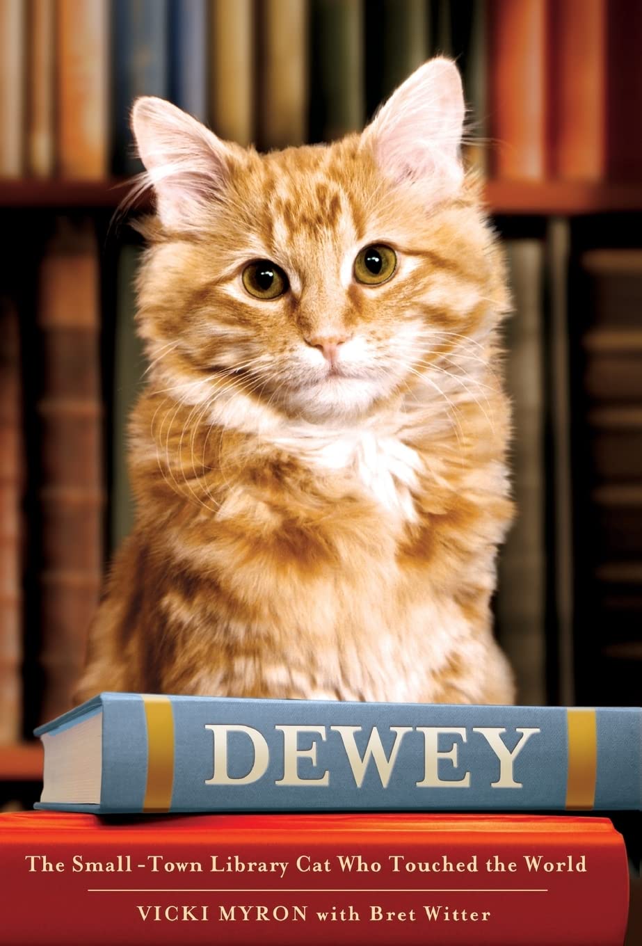 DEWEY: THE SMALL-TOWN LIBRARY CA