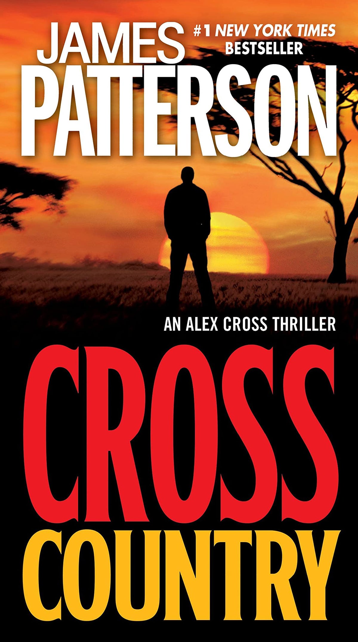 Cross Country (Alex Cross, 14)