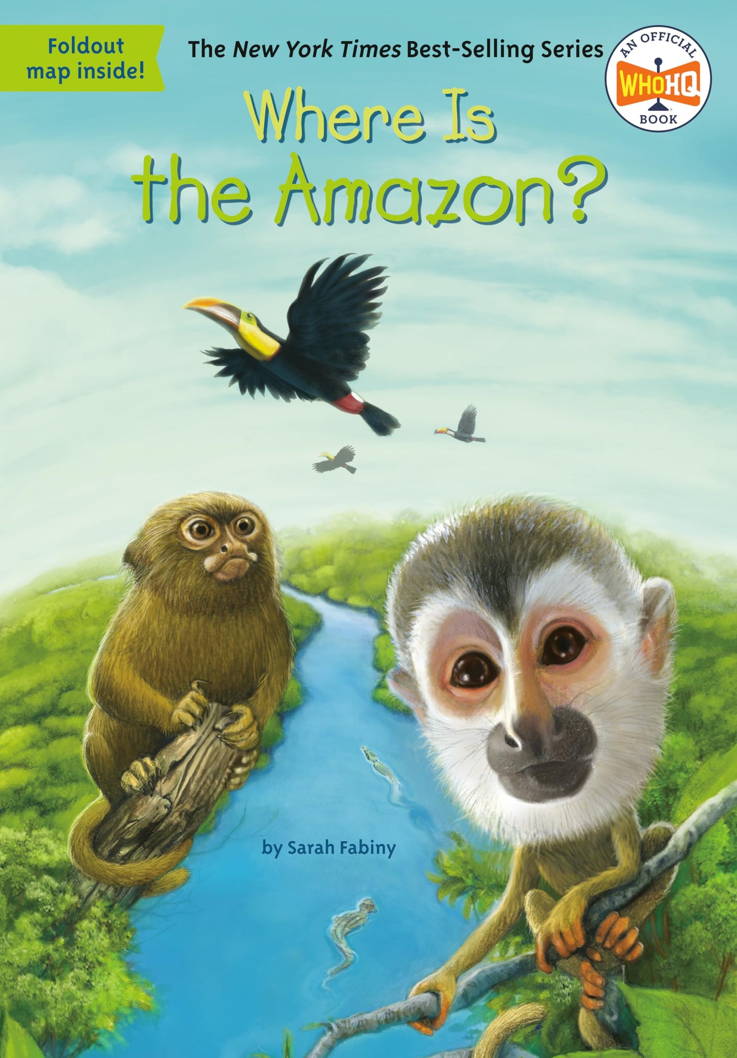 Where Is the Amazon? - 8605