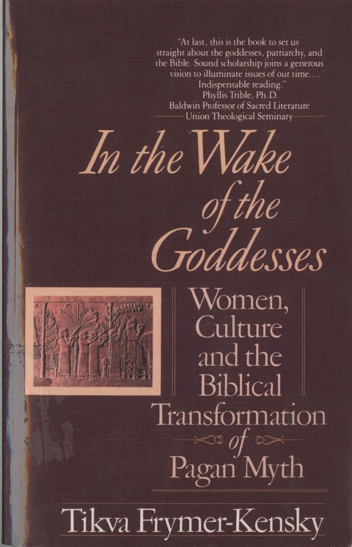In the Wake of the Goddesses: Women, Culture and the Biblical Transformation of Pagan Myth - 1497