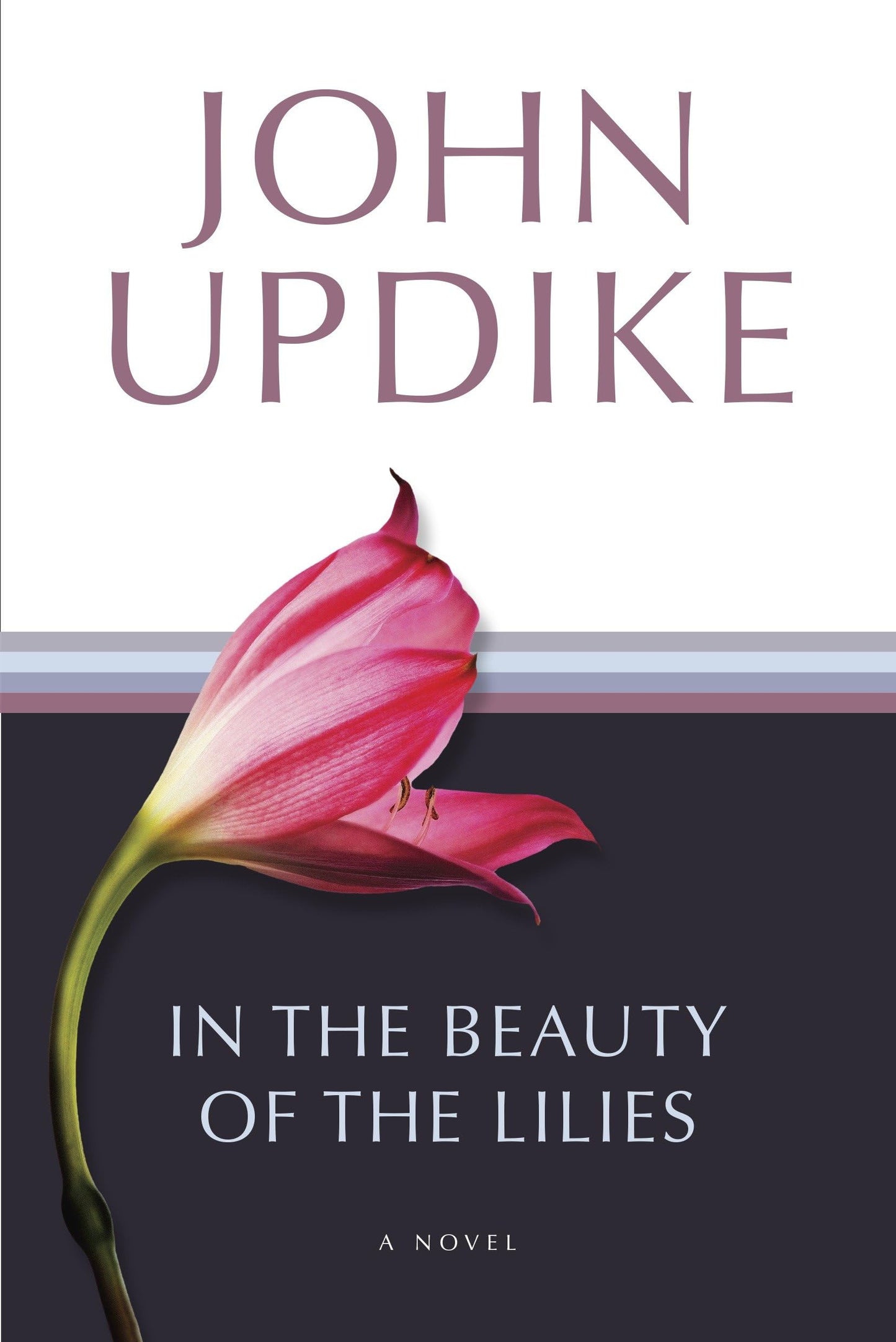 In the Beauty of the Lilies: A Novel - 8011