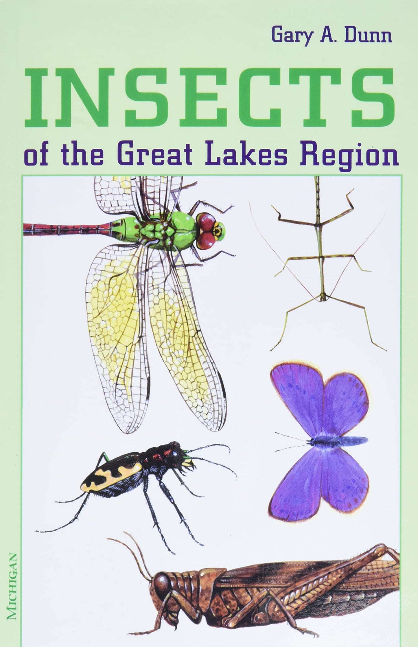 Insects of the Great Lakes Region (Great Lakes Environment)