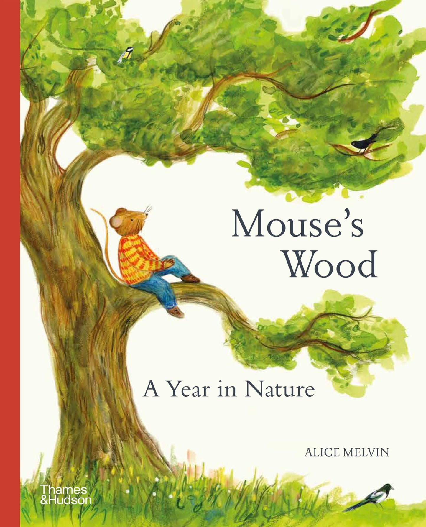 Mouse's Wood: A Year in Nature (Mouse’s Adventures)