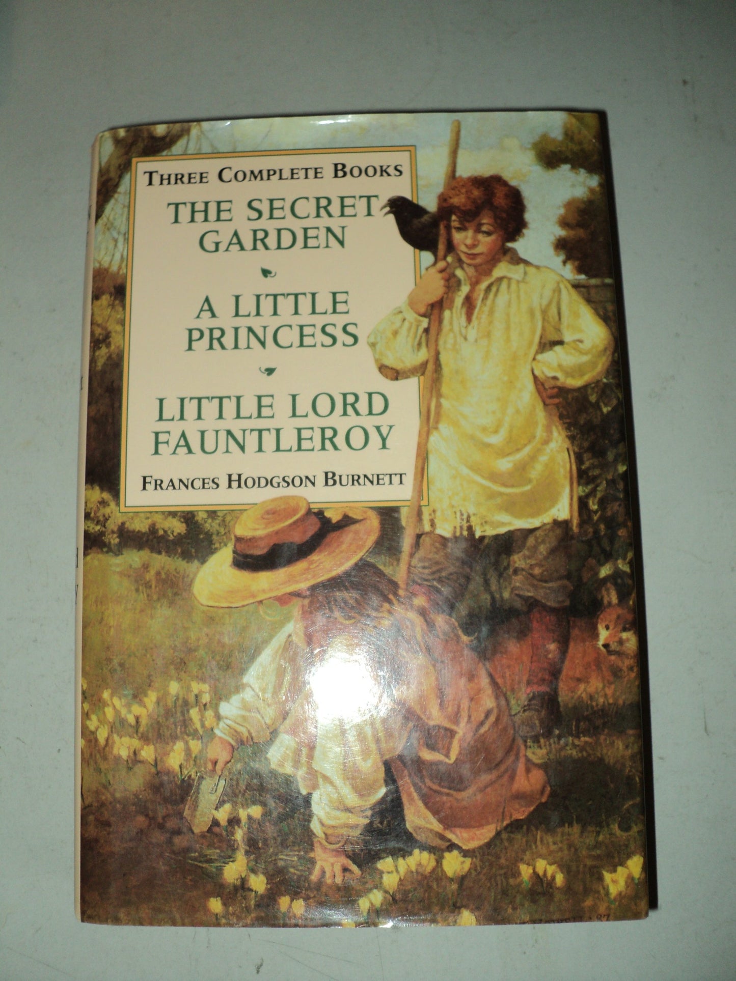 Secret Garden: Little Princess