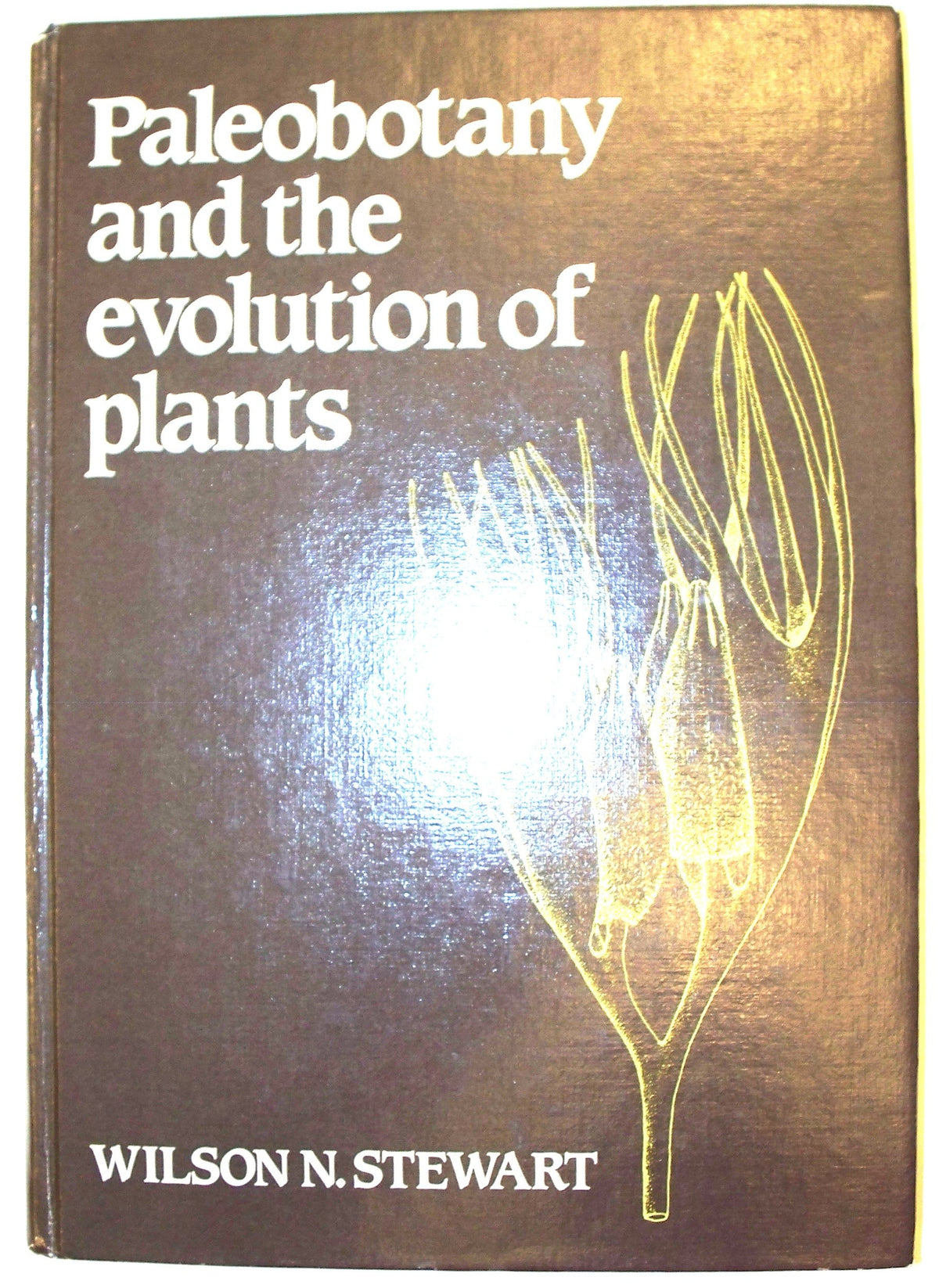 Paleobotany and the Evolution of Plants